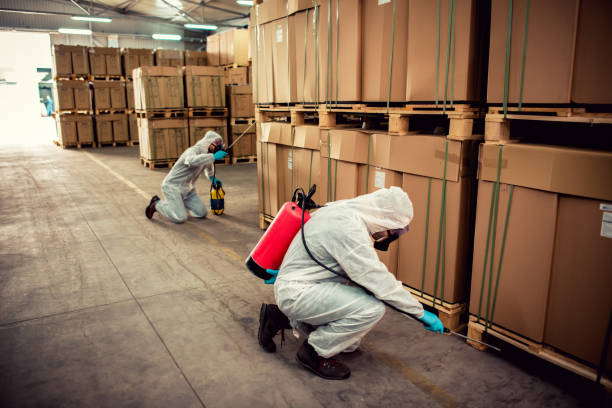 Best Pest Control Cost  in Wheaton, MD