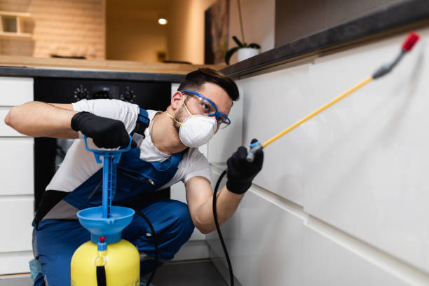 Best Flea Control Services  in Wheaton, MD