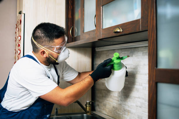Best Pest Control Near Me  in Wheaton, MD