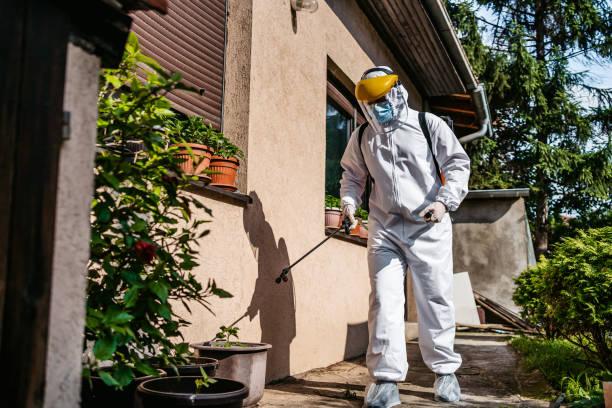 Best Emergency Pest Control  in Wheaton, MD