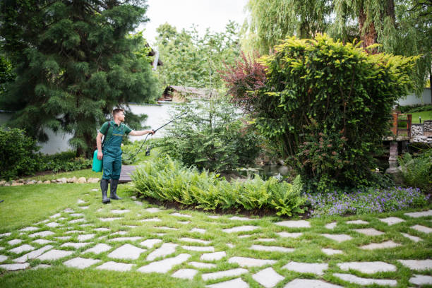 Best Best Pest Control Companies  in Wheaton, MD