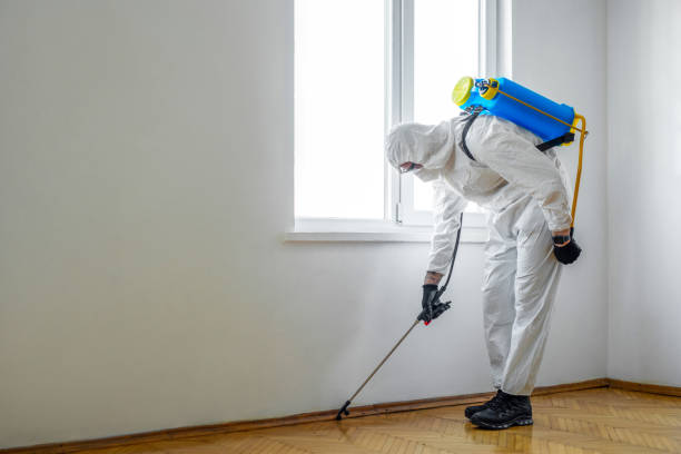 Pest Prevention Services in Wheaton, MD