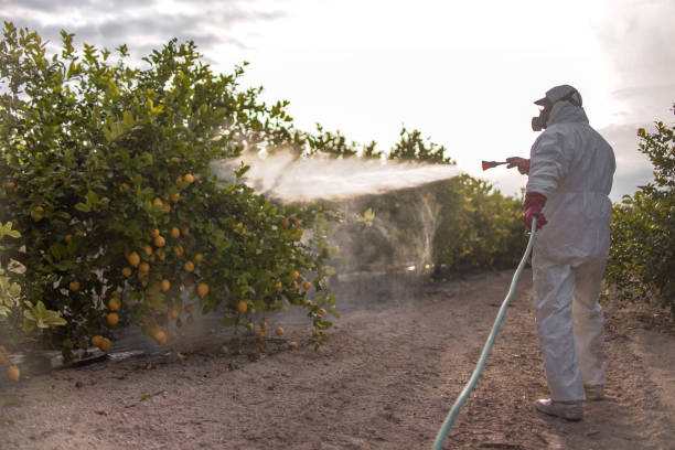 Best Pest Control Treatment  in Wheaton, MD