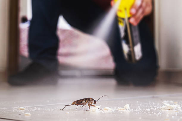 Best Exterminator Services  in Wheaton, MD