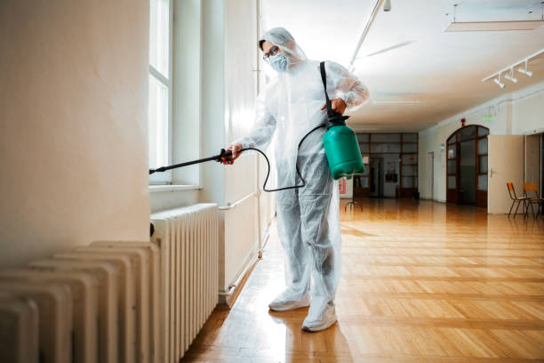 Best Pest Control for Restaurants  in Wheaton, MD