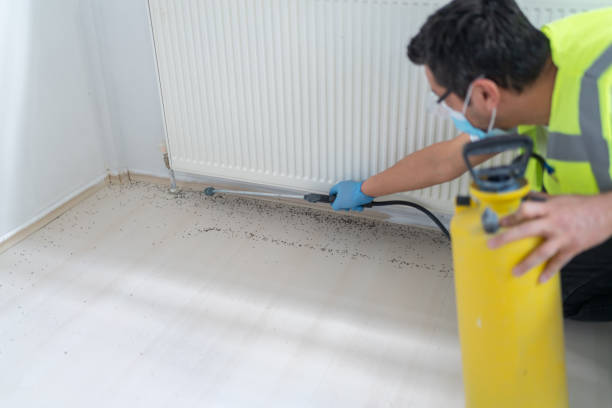 Best Cockroach Control Services  in Wheaton, MD