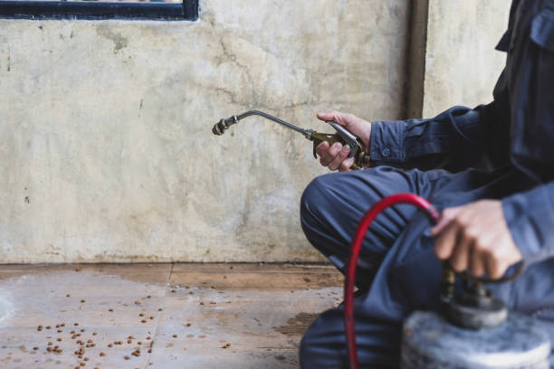 Best Termite Control Services  in Wheaton, MD