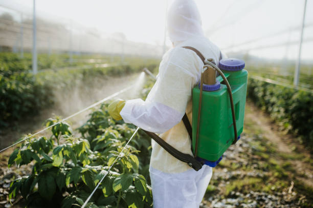 Best Wasp Removal Services  in Wheaton, MD